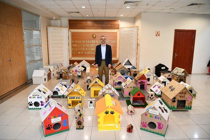 Çiftçi, "Sokak hayvanları aç ve açıkta kalmayacak" G1