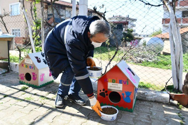 Çiftçi, "Sokak hayvanları aç ve açıkta kalmayacak" G2