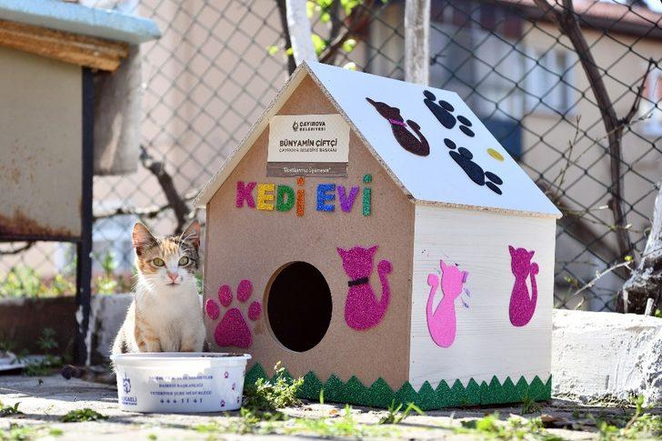 Çiftçi, "Sokak hayvanları aç ve açıkta kalmayacak" G3