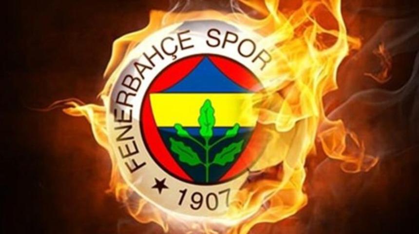 Marc Wilmots, Fenerbahçe'ye gelmek için teklifi reddetti!