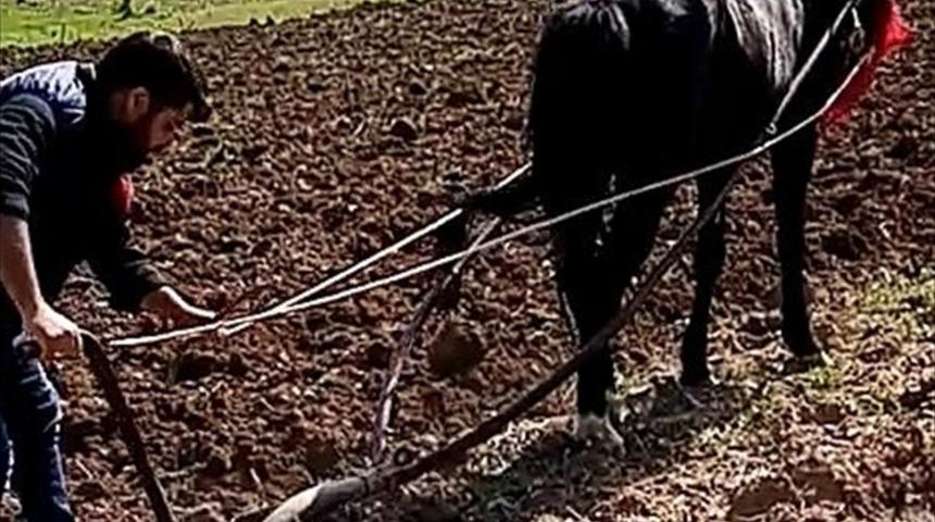 Adıyaman'da yaşlı adamın tarlasını imam s&uuml;rd&uuml;