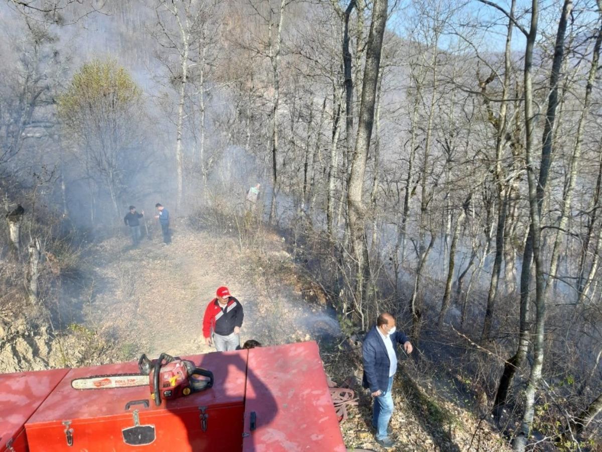 T&uuml;rkeli&rsquo;de orman yangını