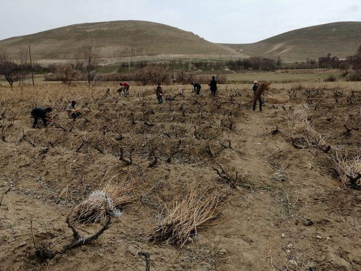 Milletvekili Arvas: “Tarımsal ve kültürel değeri olan Erciş üzümünü yaygınlaştırıyoruz” G1