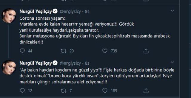 nurgulyesilcay-twitter