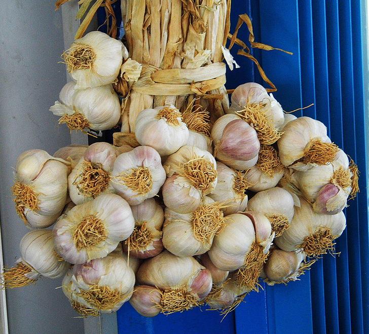 Akciğer sağlığını korumak için nasıl beslenmeli? G2