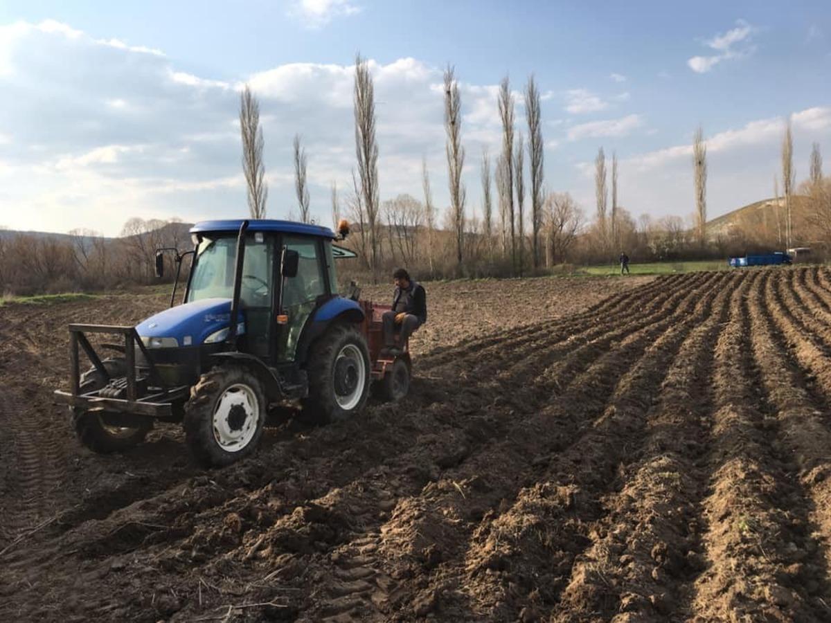 Seyitgazili &ccedil;ift&ccedil;iler patates ekimine başladılar