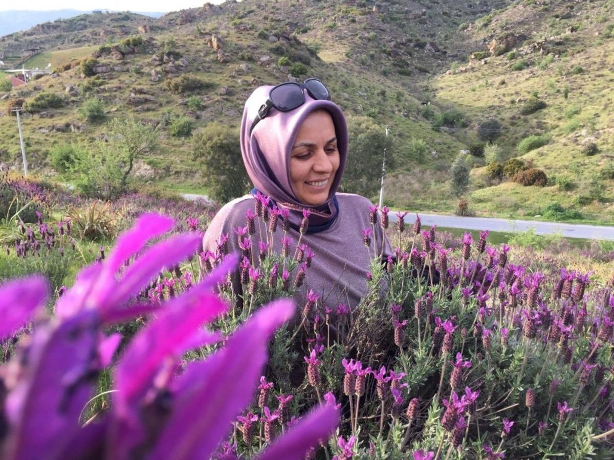 Doğal şifa kaynağı ama sadece &ccedil;i&ccedil;ek olarak g&ouml;r&uuml;l&uuml;yor