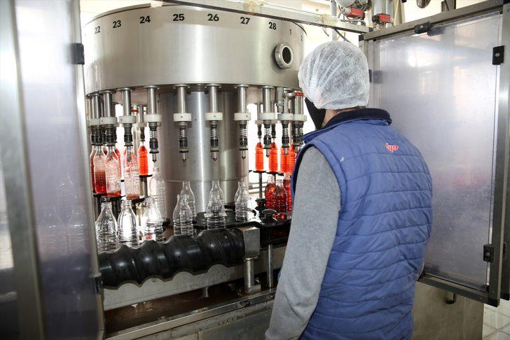 Kapadokya sirkesi koronavirüsle birlikte ününe ün kattı G4