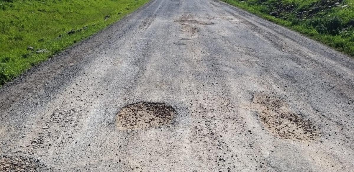 Mahalle yolu k&ouml;stebek yuvasını andırıyor