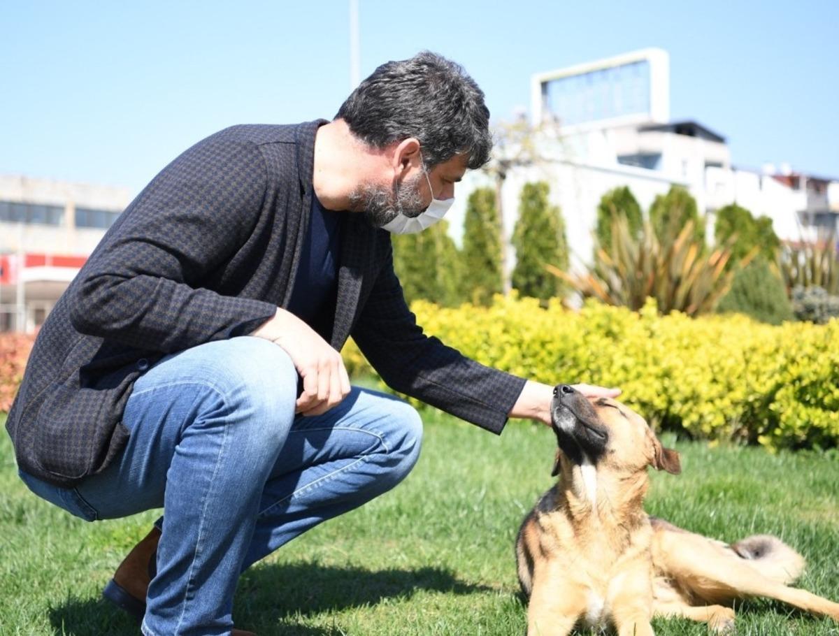 Başkan Kocaman sokak hayvanlarını elleriyle besledi