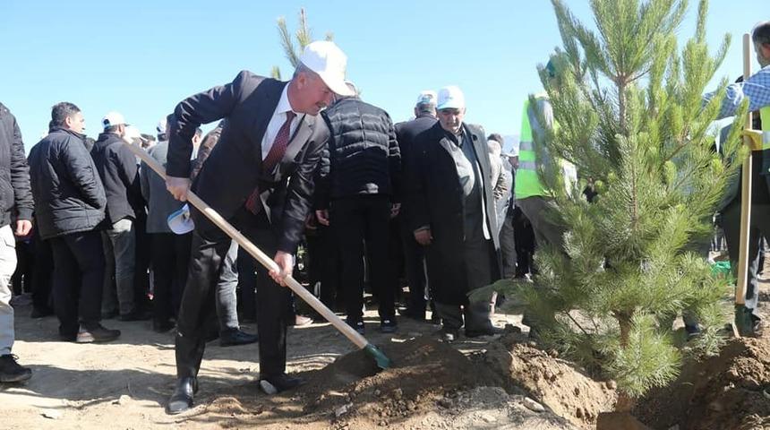 Tuşba Belediyesinden &lsquo;Model Ceviz Bah&ccedil;esi&rsquo; Projesi