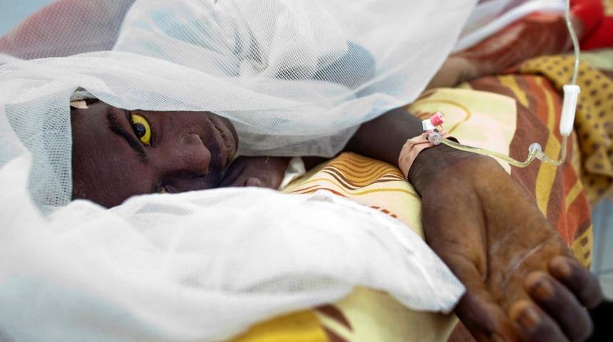 Yeni bir salgın başladı!