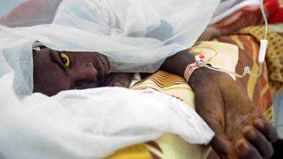 Yeni bir salgın başladı!