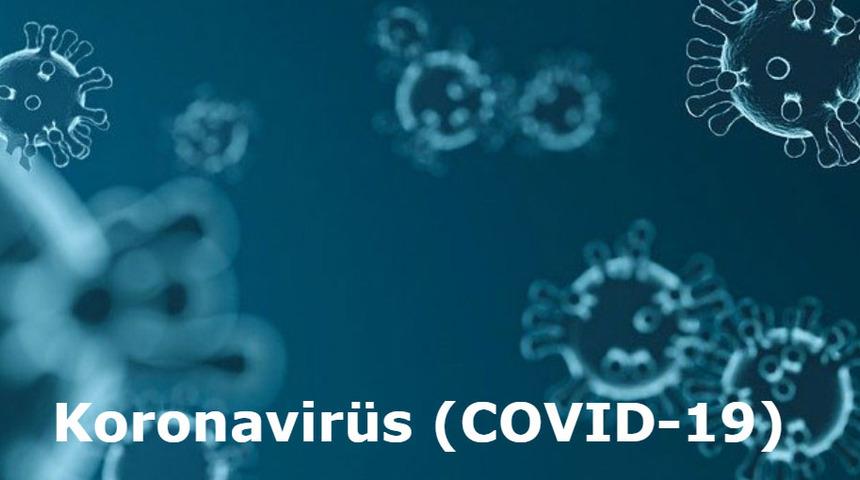 İBB'den koronavirüs mücadelesi bilgilendirmeleri için yeni web sitesi