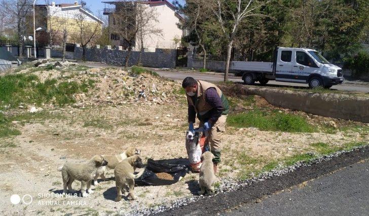 Malatya’da parklara sokak hayvanları için ekmek bırakılıyor G3