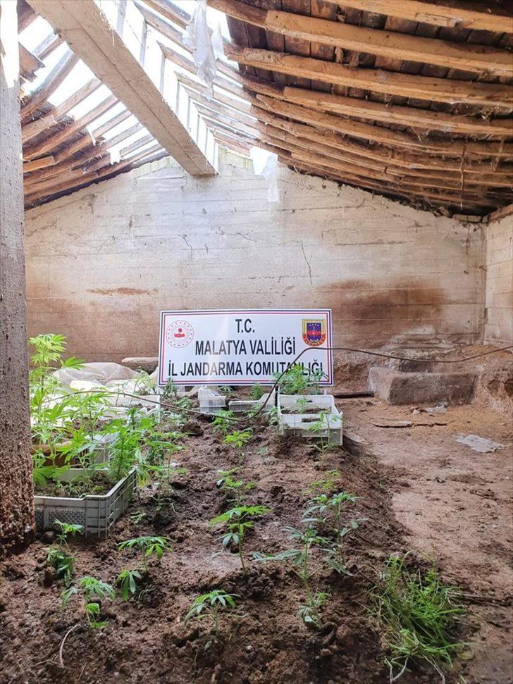 Besi damında kurduğu serada hint keneviri yetiştirdiği iddia edilen zanlıya gözaltı G2