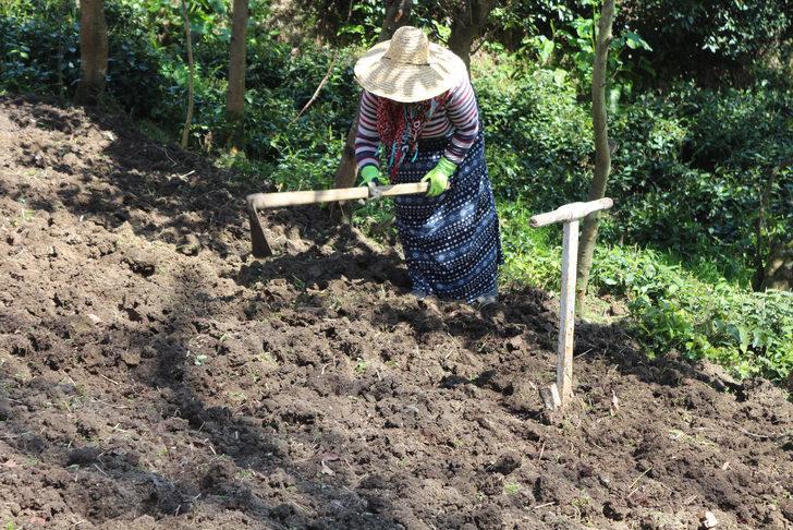 Rize'deki Kalkanadere ilçesinde koronavirüs karantinası başladı! G4