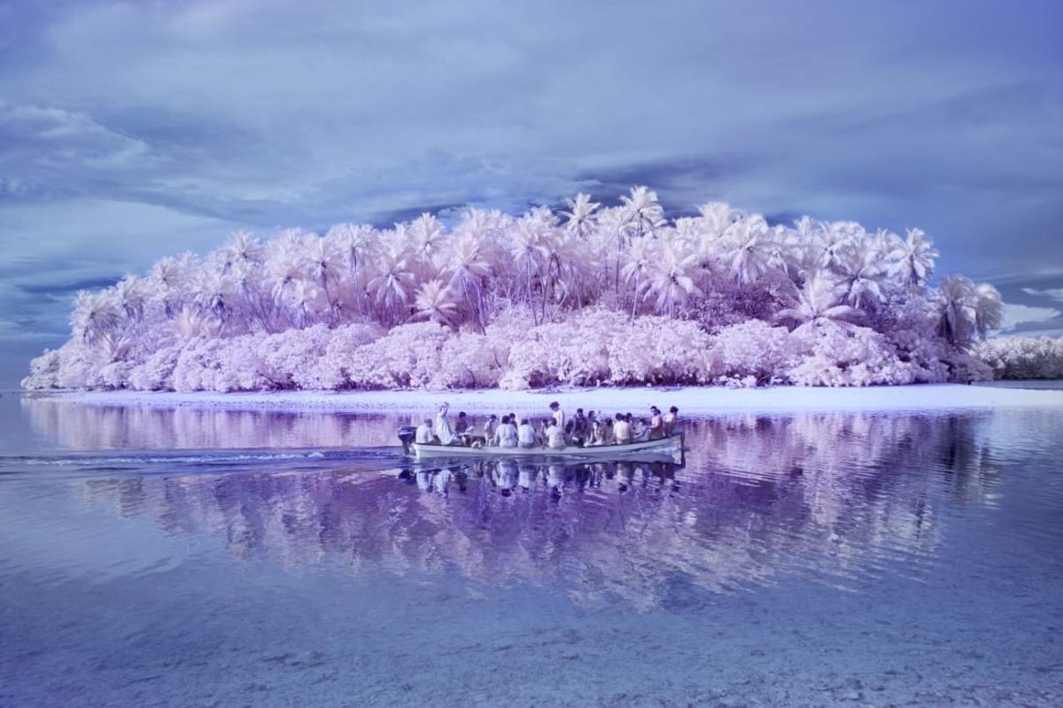 Pembe ormanlar, gri deniz ve &ccedil;ok parlak ışıklar&hellip; Karşınızda renk k&ouml;r&uuml; adası