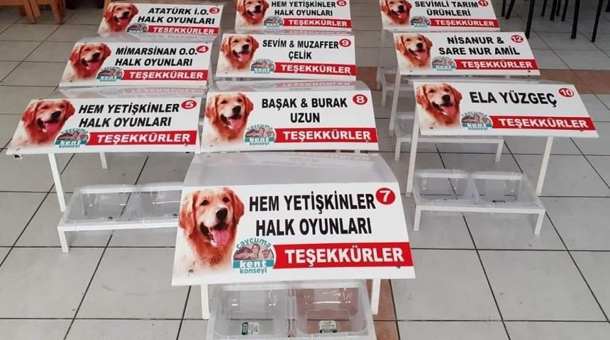 Sokak hayvanları için aş evleri yapıldı