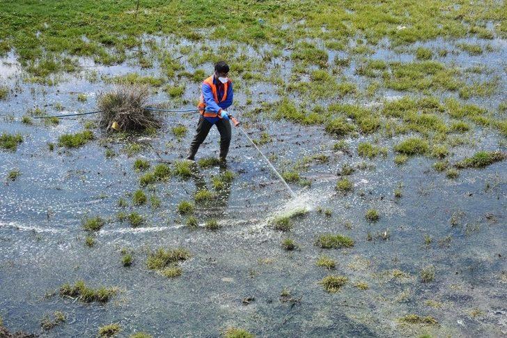 Tatvan Belediyesi larva üreme noktalarını ilaçlıyor G1