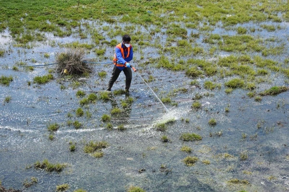 Tatvan Belediyesi larva &uuml;reme noktalarını ila&ccedil;lıyor
