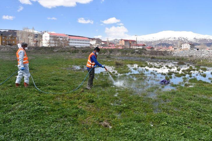 Tatvan Belediyesi larva üreme noktalarını ilaçlıyor G2