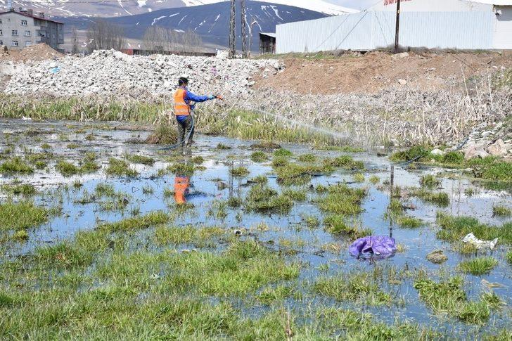 Tatvan Belediyesi larva üreme noktalarını ilaçlıyor G4