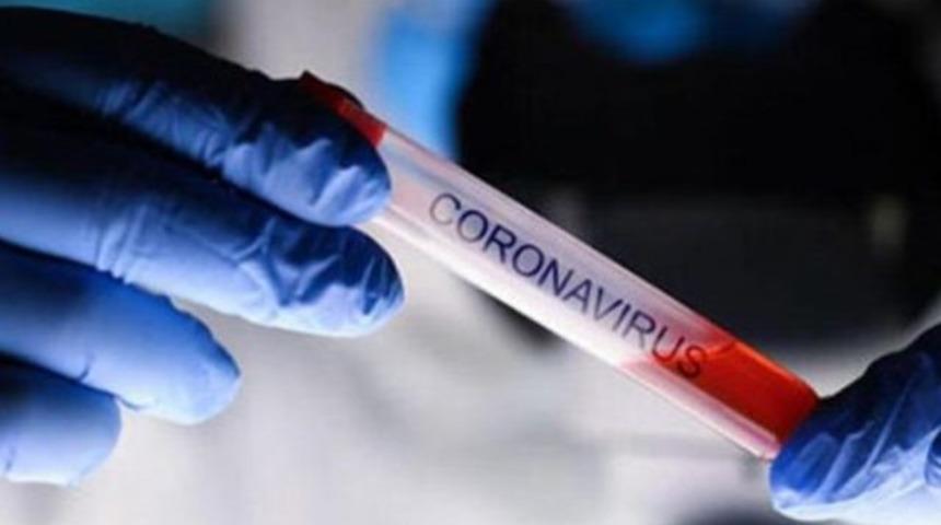 Yeni koronavirüs (COVID-19) hakkında bilmeniz gerekenler