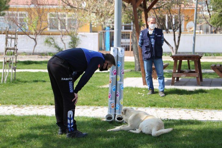 Sivrihisar’da sokak hayvanları için beslenme alanları oluşturuldu G3