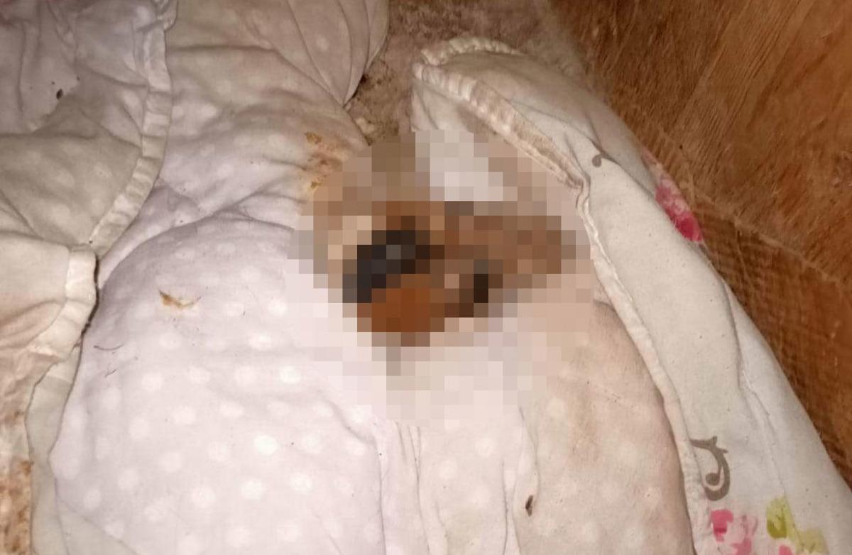 Esenyurt&rsquo;ta vahşet: K&ouml;peğin başını koparıp, patilerini kestiler