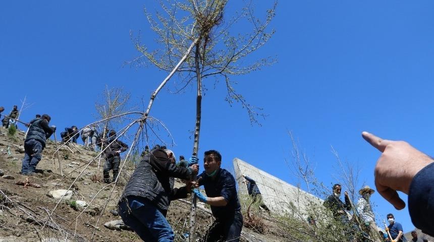 Hakkari&rsquo;de bin adet fidan dikildi