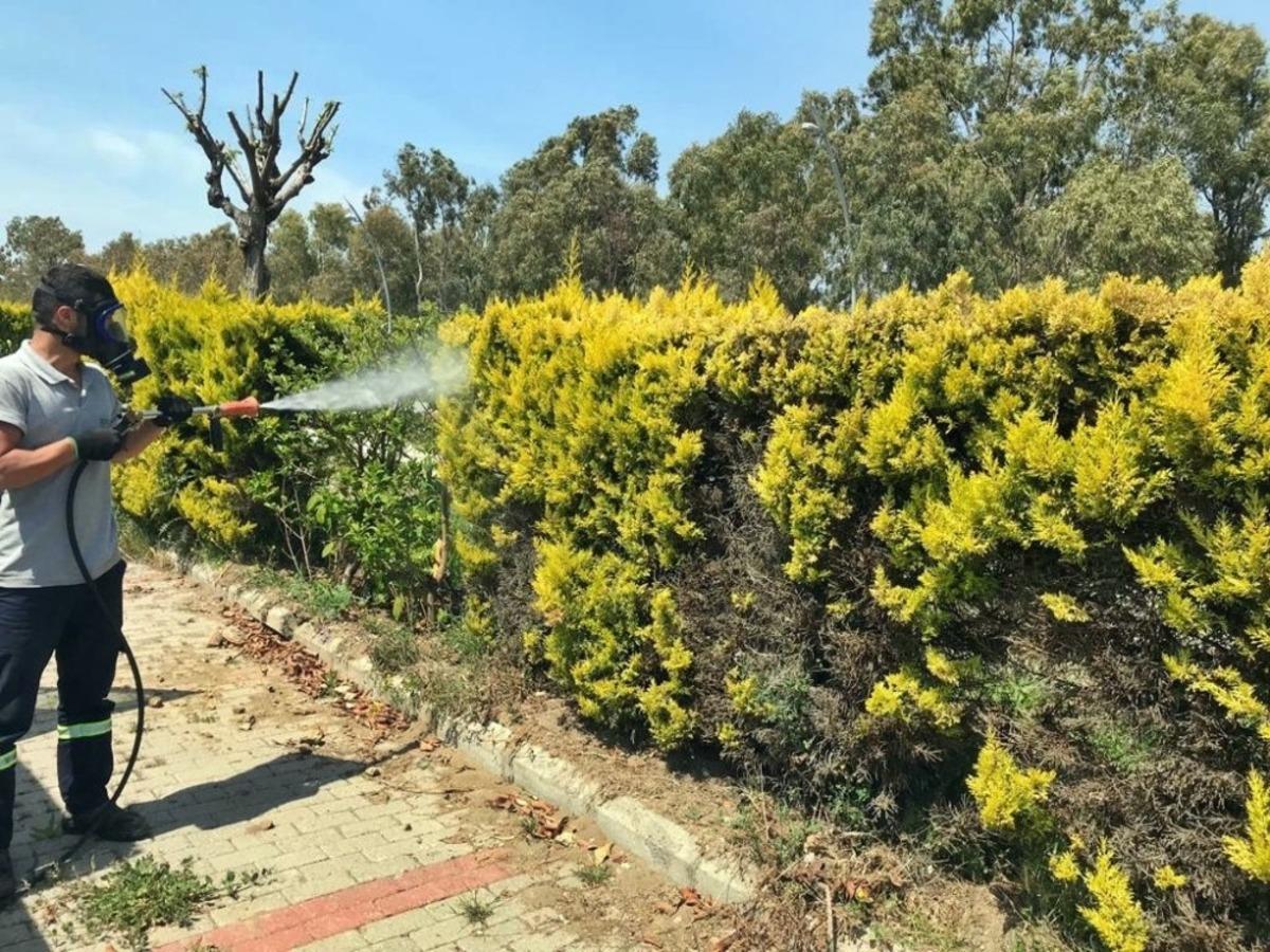 Aliağa Belediyesi yabani ot ve haşere ile m&uuml;cadele başlattı