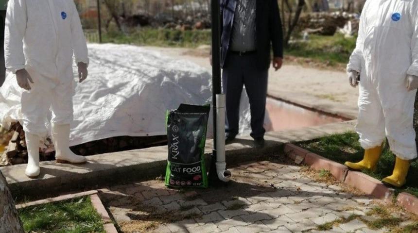 Doğanşehir&rsquo;de  sokak hayvanları unutulmadı