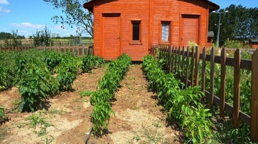 Hobi Bah&ccedil;eleri sahiplerini &ccedil;evrimi&ccedil;i kura &ccedil;ekimi ile bulacak