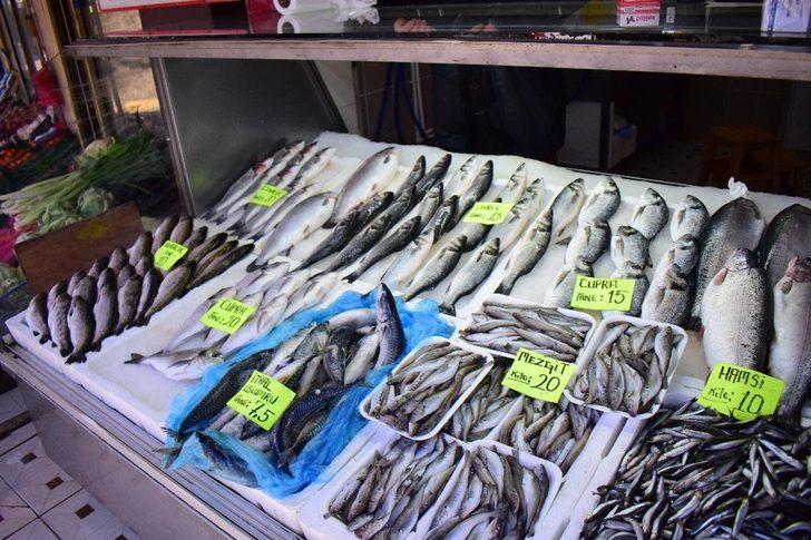 Denizlerde av yasağı başladı G4