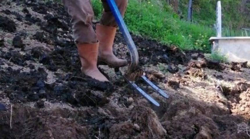 Din g&ouml;revlileri vatandaşların tarlasını s&uuml;rd&uuml;