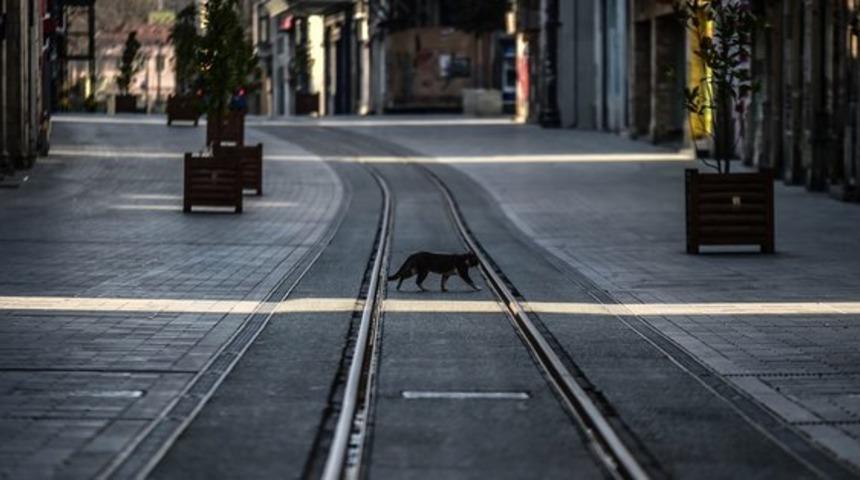 EGM'den sokağa çıkma yasağı uygulanacağı iddialarına cevap