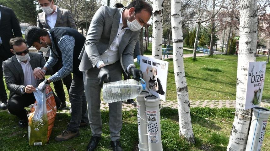 AK Parti Ankara İl Gen&ccedil;lik Kolları hayvanlar i&ccedil;in harekete ge&ccedil;ti