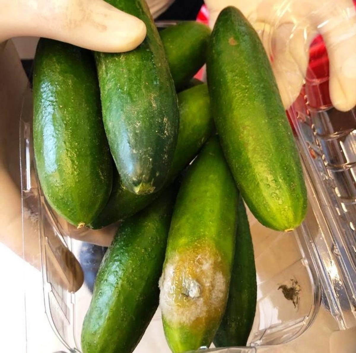 Poşette satış fırsat&ccedil;ılarına darbe &uuml;st&uuml;ne darbe