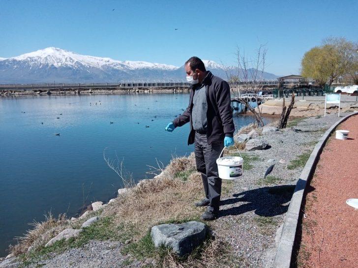 Erzincan’da sinek ve haşerelere karşı larvasit ilaçlama faaliyetleri başladı G4