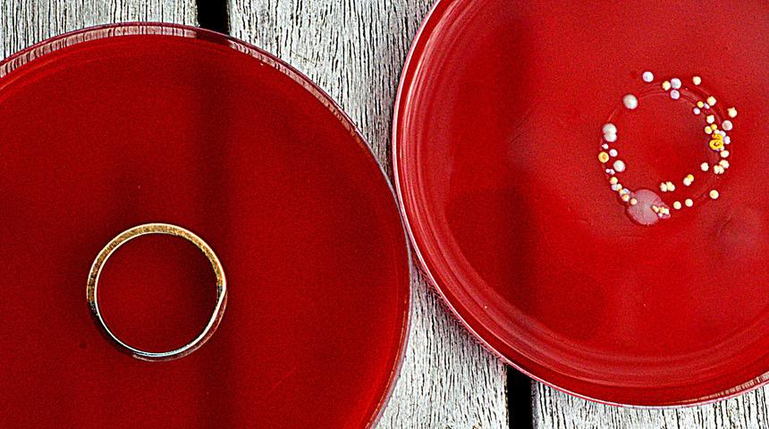 Ellerimi tertemiz yıkadım diyorsanız dikkat!