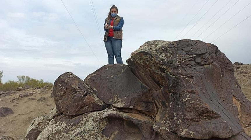 Yaralı ebabil kuşu tedavisinin ardından doğaya salındı