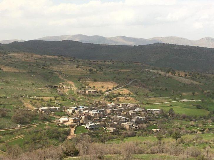 Gercüş’te arazi yolu yapımına başlandı G2