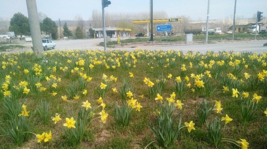 Hisarcık&rsquo;ta &ccedil;i&ccedil;ek a&ccedil;an lalelerin doyumsuz g&uuml;zelliği
