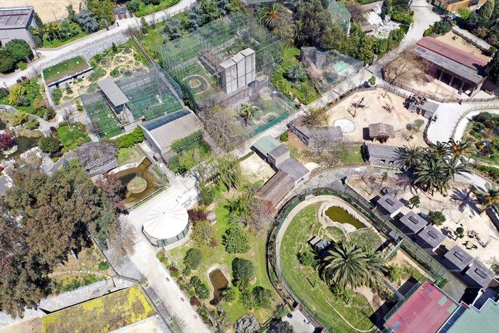 Kocaeli'de endemik bitki türü keşfedildi G2