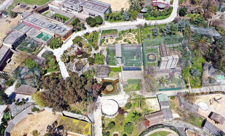 Kocaeli'de endemik bitki türü keşfedildi G3