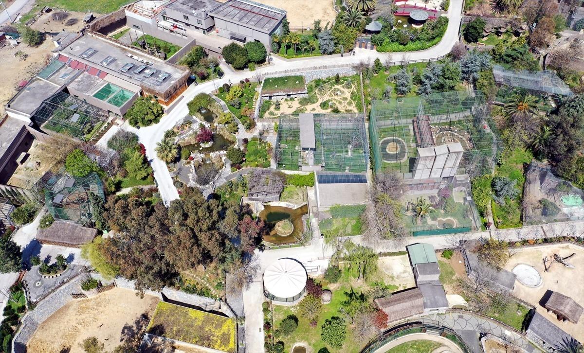 Kocaeli'de endemik bitki t&uuml;r&uuml; keşfedildi