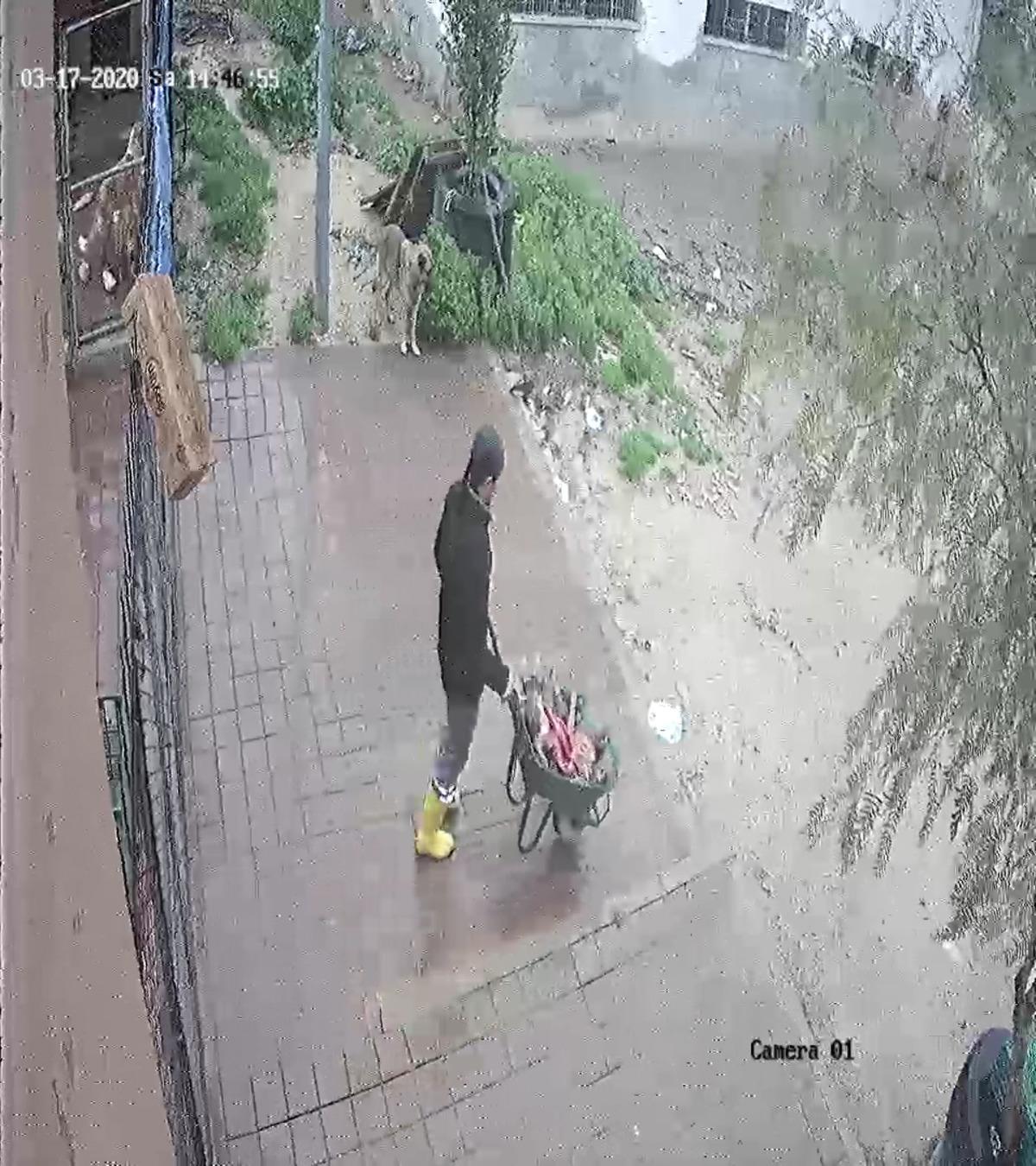 Kozan'da belediye barınağına k&ouml;pek &ouml;l&uuml;s&uuml; bırakılma g&ouml;r&uuml;nt&uuml;leri ortaya &ccedil;ıktı