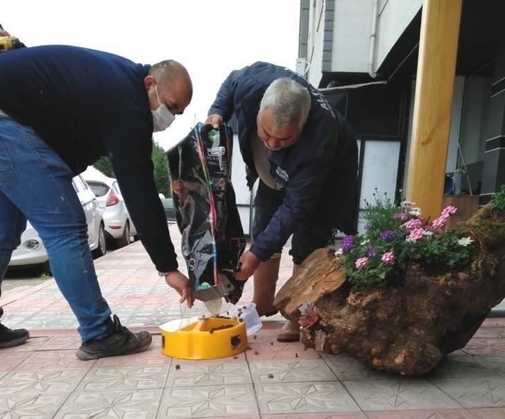 Altınova’da sokak hayvanları unutulmadı G4