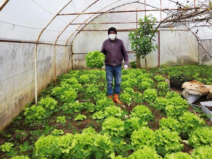 Üreticiler bahçelerindeki ürünlerin satın alınmasını istiyor G1